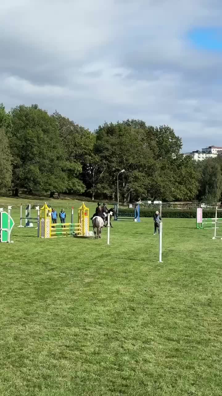 Hoppning hästar till salu: D-ponny med driv i Sigtuna - Video 2
