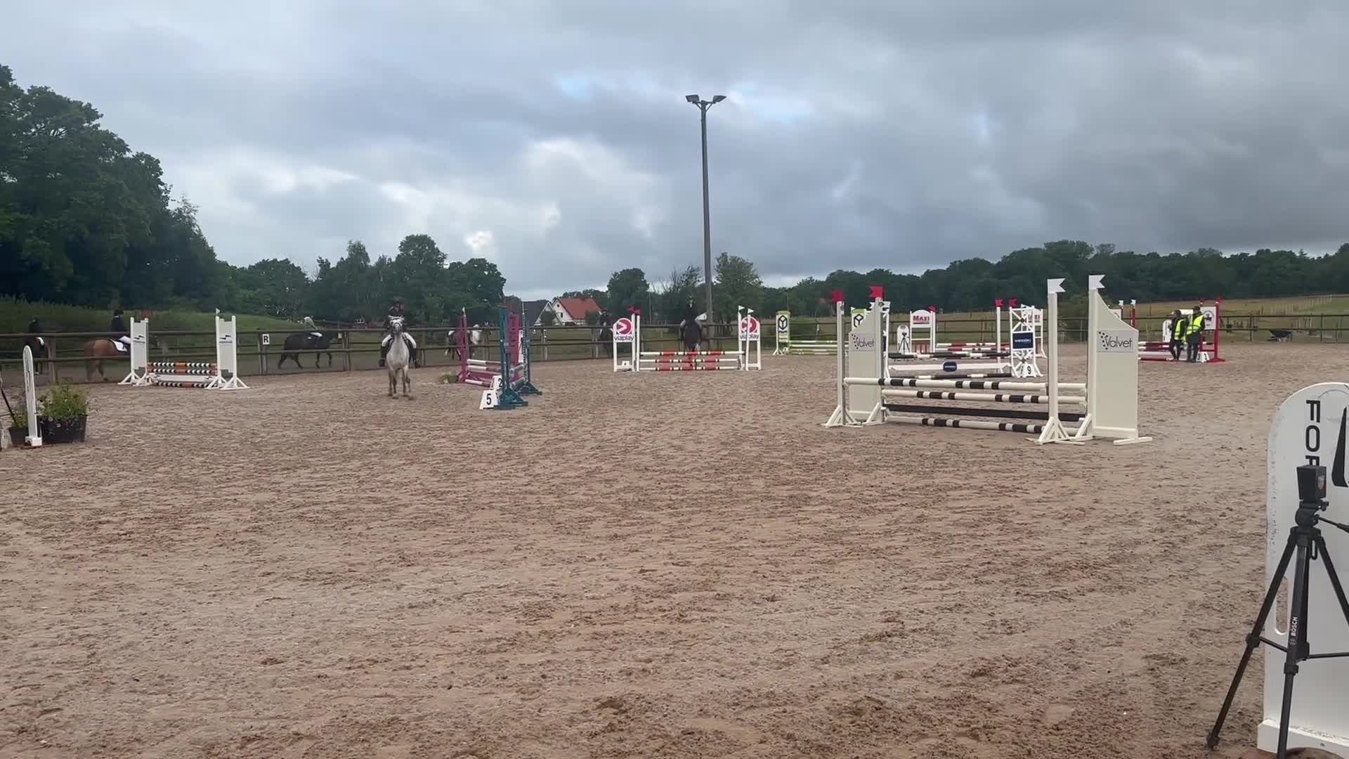 Allround hästar till salu: Pigg och positiv ponny söker kärleksfullt hem.  - Video 1