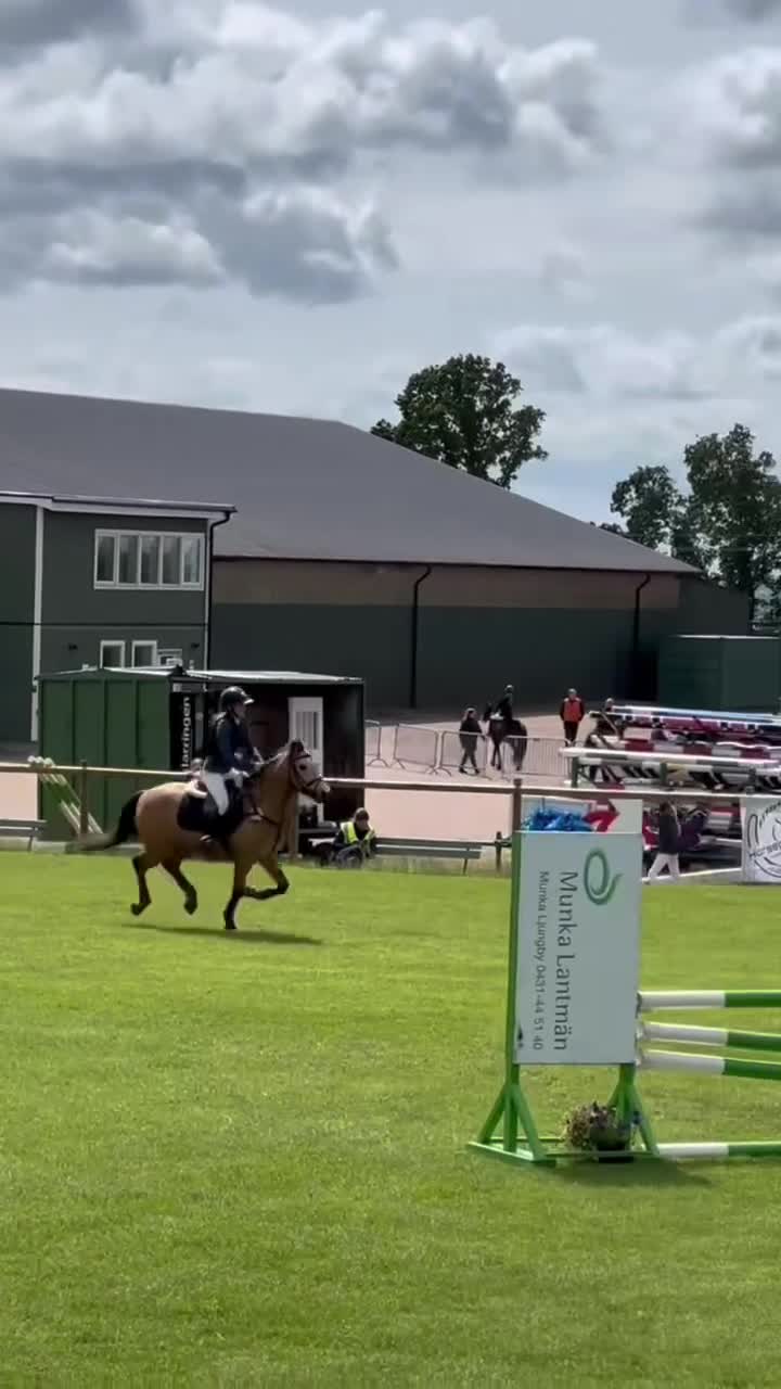 Allround hästar till salu: Underbaraste c-ponnyn - Video 1