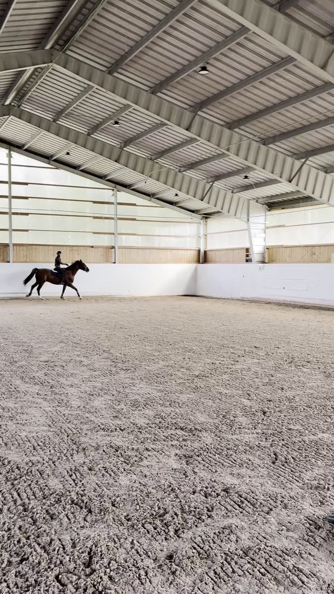 Allround hästar till salu: Valack med fin stam i Vallentuna - Video 1