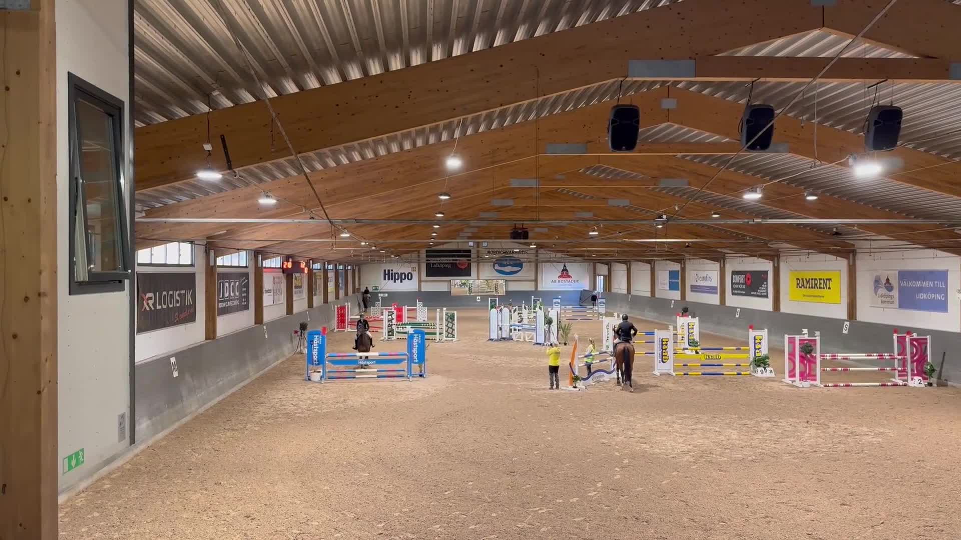 Hoppning hästar till salu: Häst för framtiden - Video 2