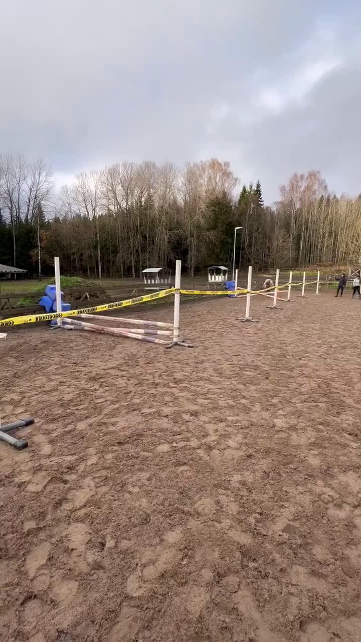 Allround hästar till salu: Sällskap, ponnyridning, körning!? i Karlstad - Video 4