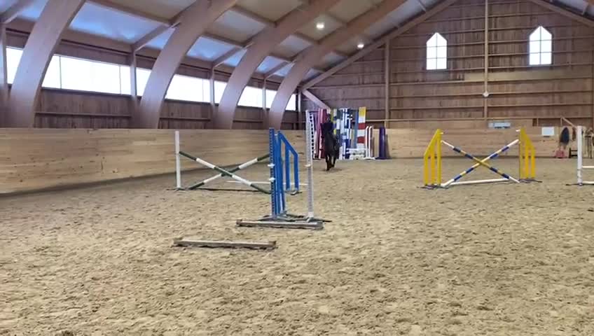Hoppning hästar till salu: Toppstammad 5-åring - Video 2