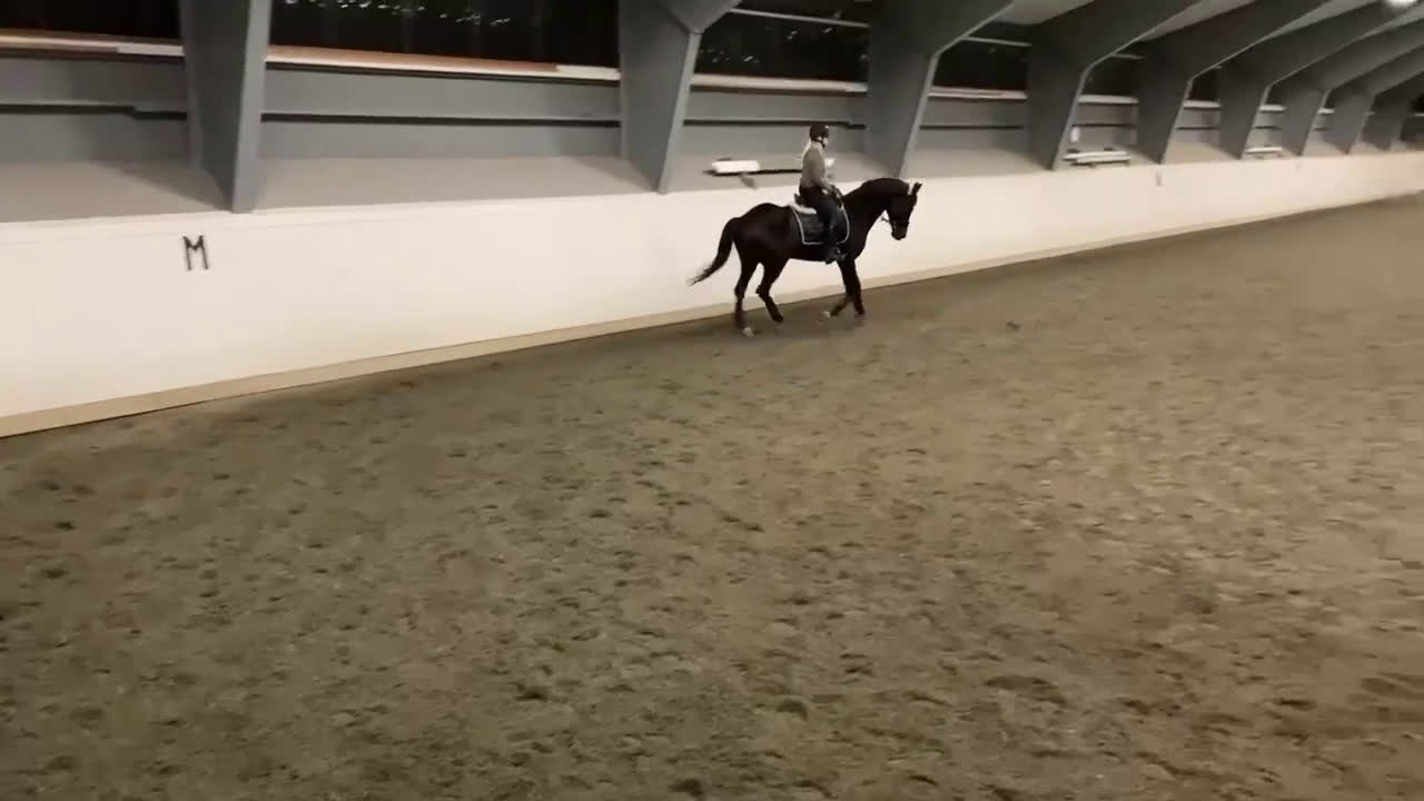  foderhäst sökes: Söker en hoppglad kompis!  i Kil - Video 4