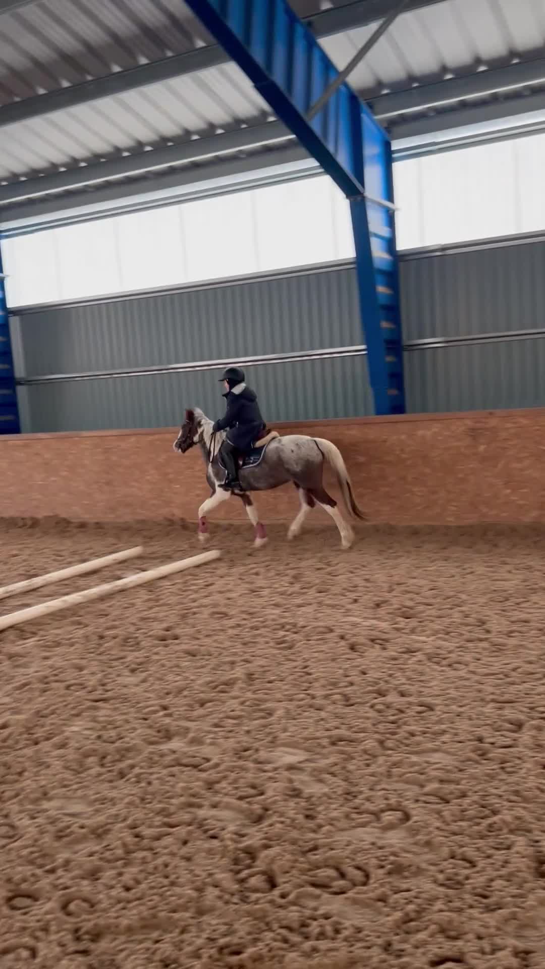 Allround hästar till salu: Underbar B ponny 💕 - Video 2