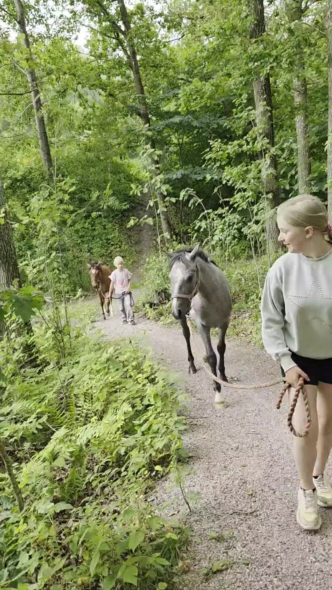 Allround hästar till salu: Välhanterad 1åring Bponny - Video 5