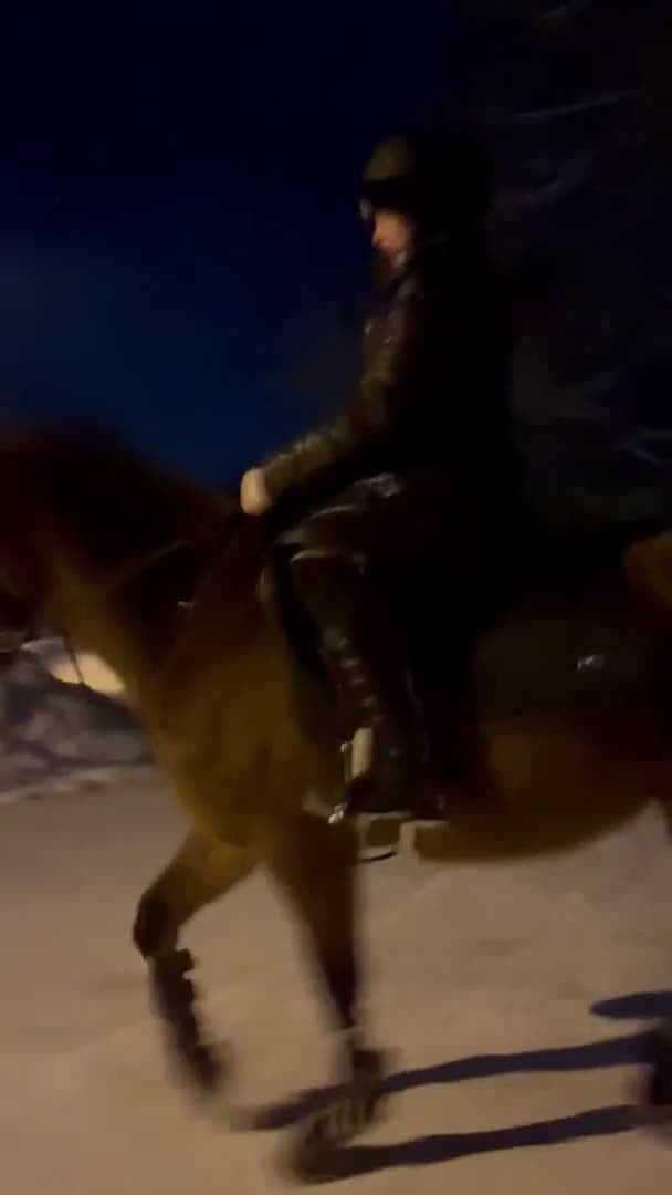 Allround hästar till salu: Personlig ponny med stor potential i Sågmyra - Video 2