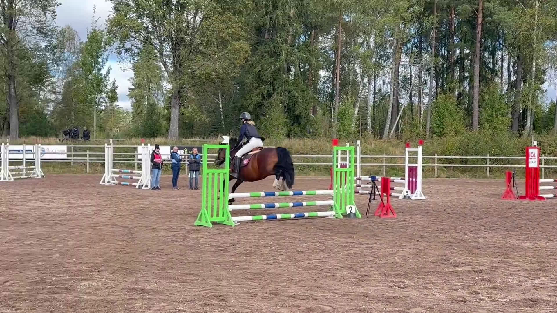 Hoppning hästar till salu: Pigg hopp ponny *Prissänkt* ev byte i Kosta - Video 5