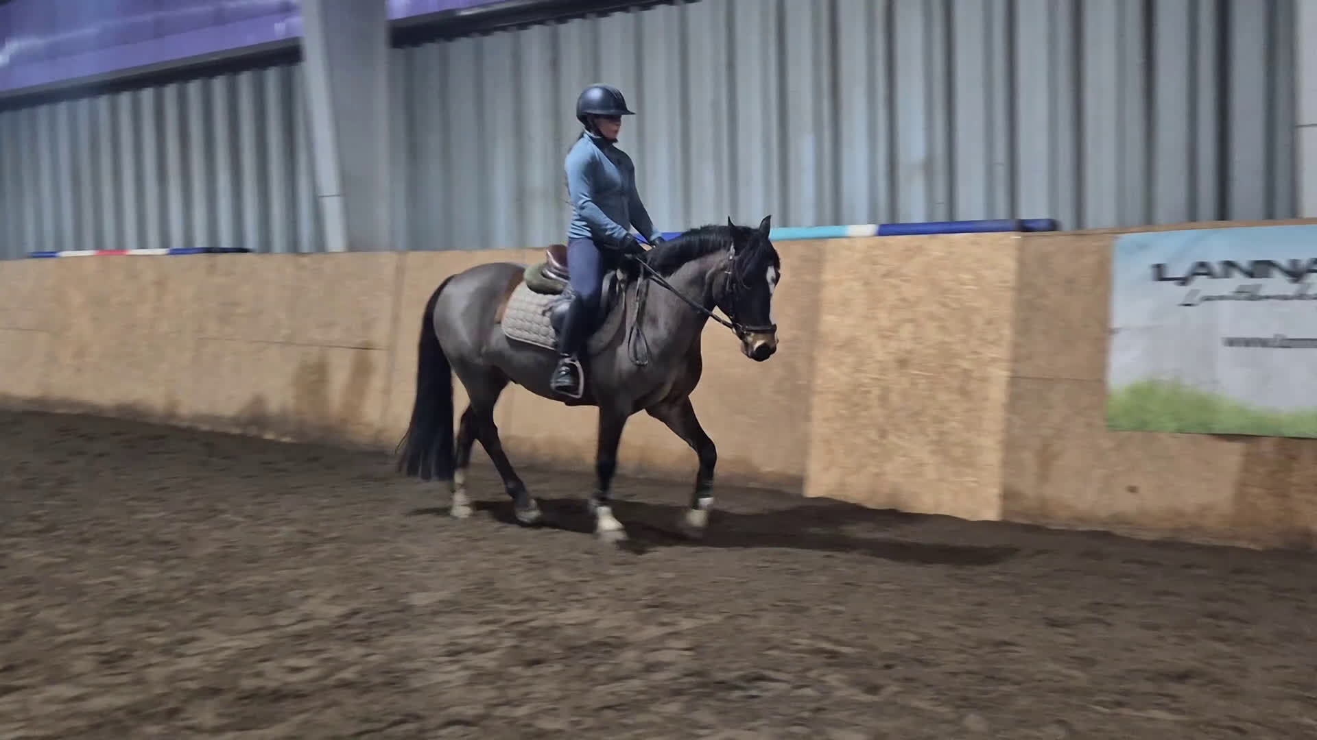 Hoppning hästar till salu: Trevlig Allroundponny  i Landsbro - Video 1