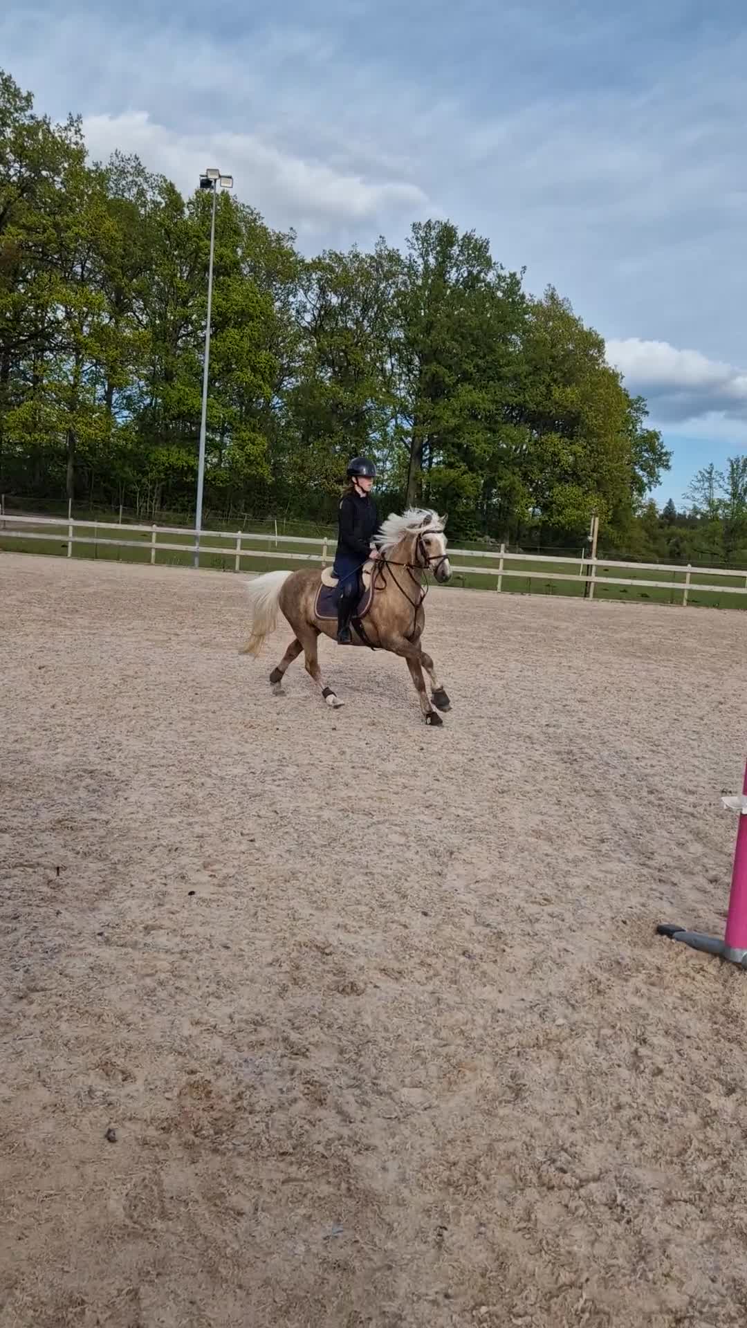 Hoppning hästar till salu: ✨️ Kvalitetsponny till salu ✨️ - Video 3