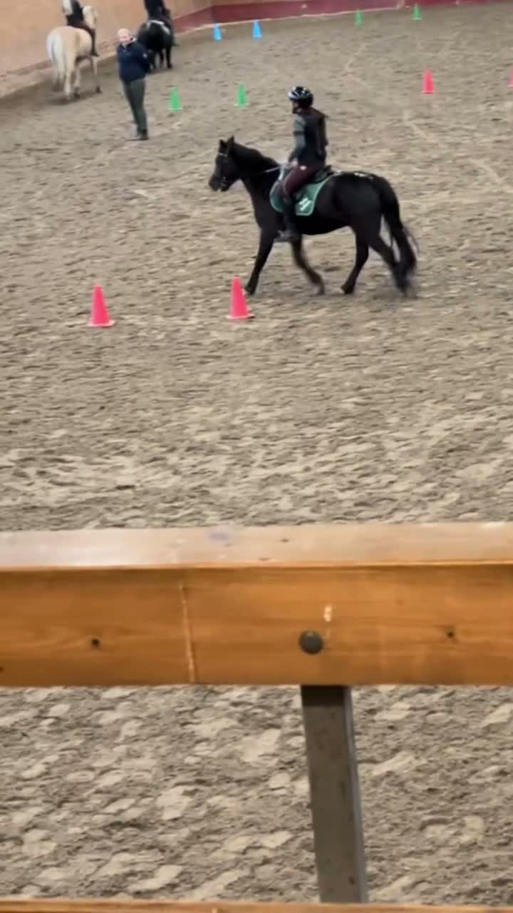 Allround hästar sökes: Medryttar ponny sökes! i Hägersten - Video 1