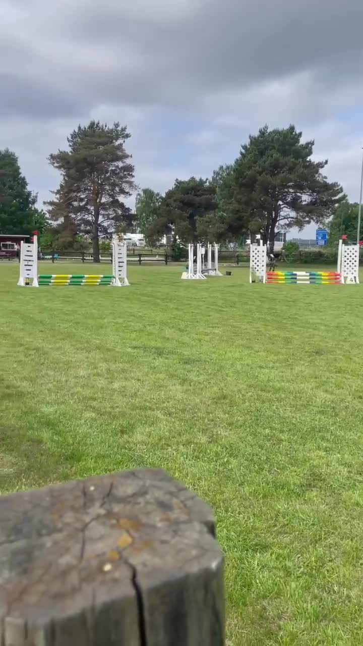 Hoppning hästar till salu: En shettis helt utöver det vanliga - Video 1