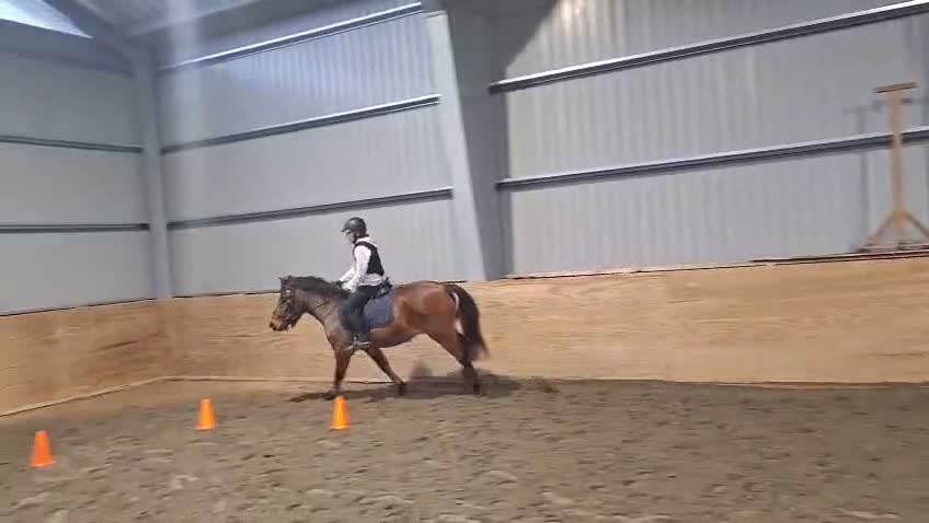Allround hästar sökes: Söker medryttarhäst! - Video 2
