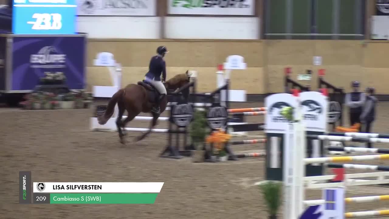 Hoppning hästar till salu: Lovande 6-årig valack - Video 2