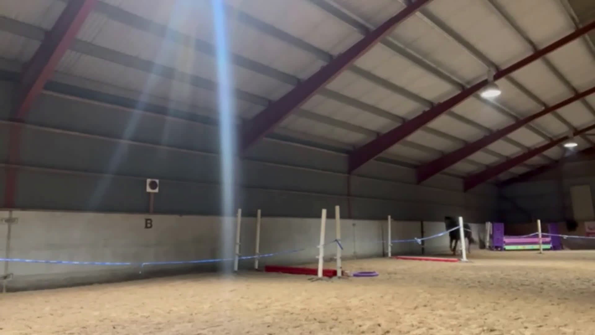 Hoppning hästar till salu: Skinny Love (Ny film) - Video 3