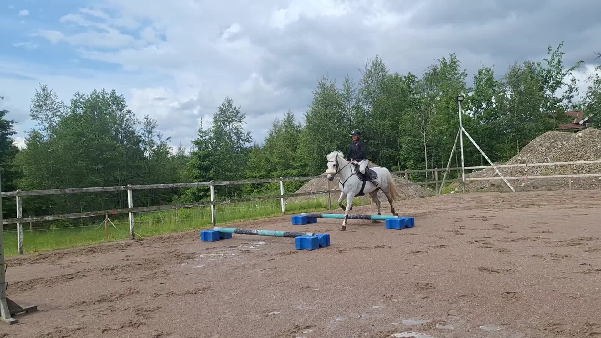Allround hästar till salu: ✨️ Trevlig allroundponny ✨️ - Video 3