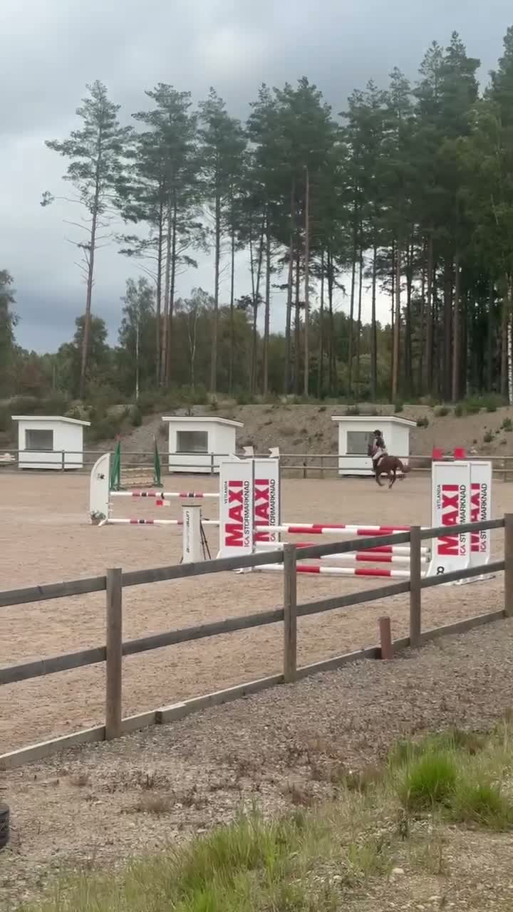Hoppning hästar till salu: Linnekullens Quickstep – mod, tryck och kapacitet - Video 2