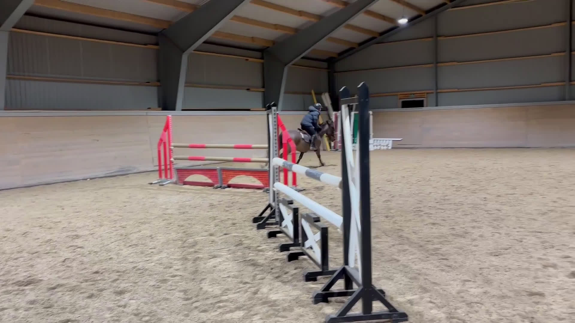 Hoppning hästar till salu: Maxad c-ponny i Ingelstad - Video 4