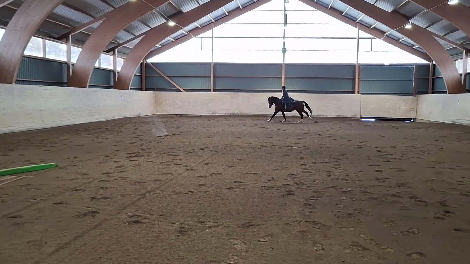 Hoppning hästar till salu: Iögonfallande 4-åring - Video 2