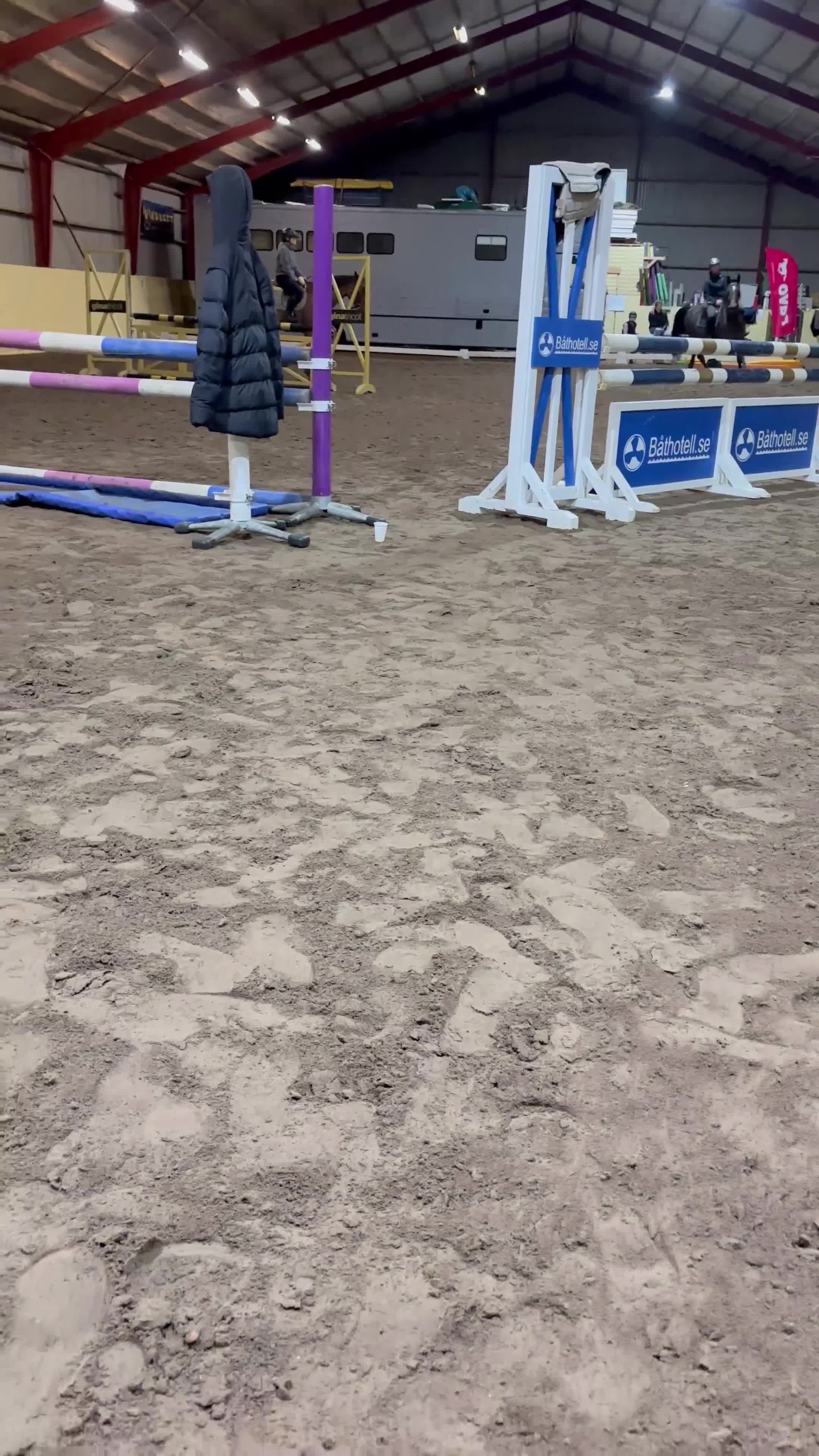 Allround hästar till salu: Snällaste Doris tillsalu - Video 3