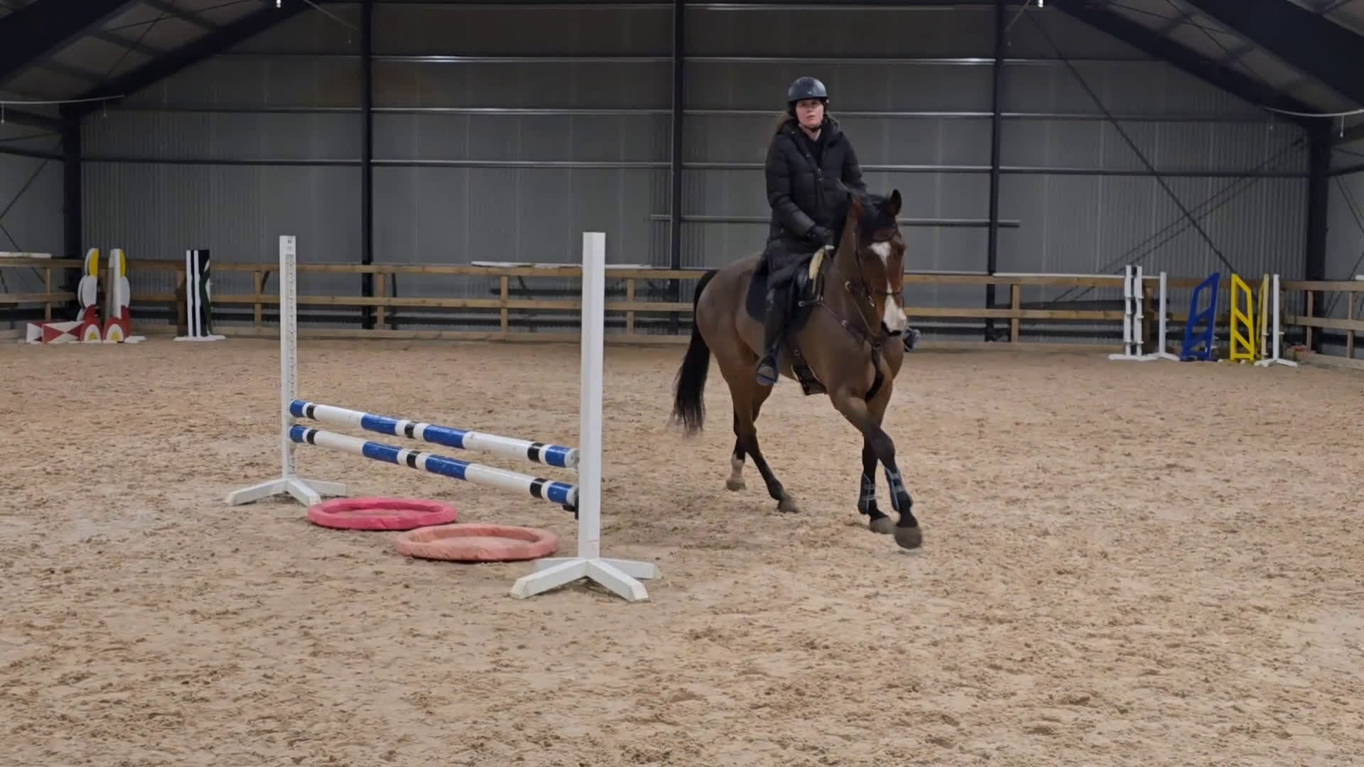 Hoppning hästar till salu: Underbart SWB sto  - Video 2