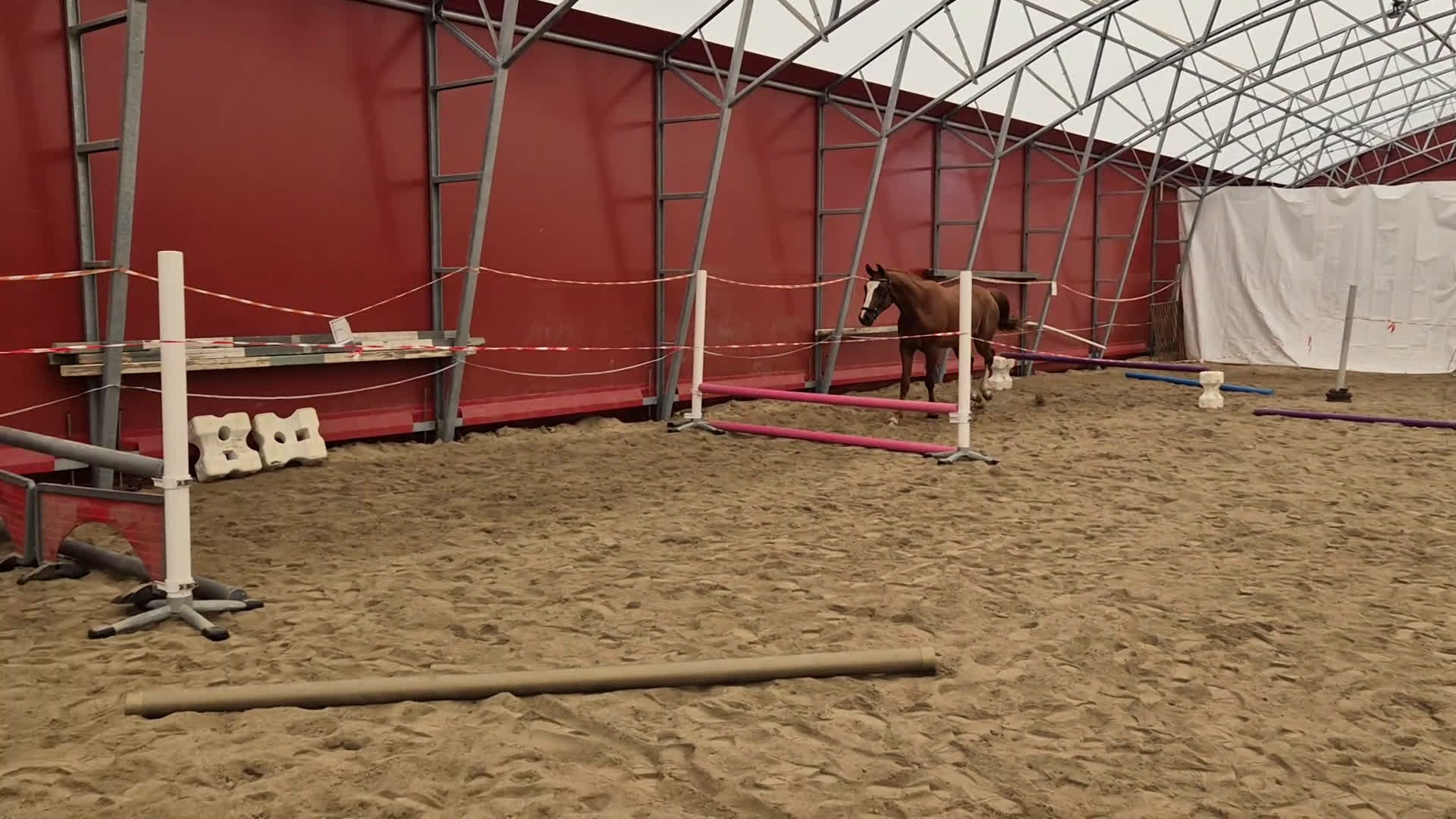 Hoppning hästar till salu: Trevlig valack e. Heartbeat i Boden - Video 1