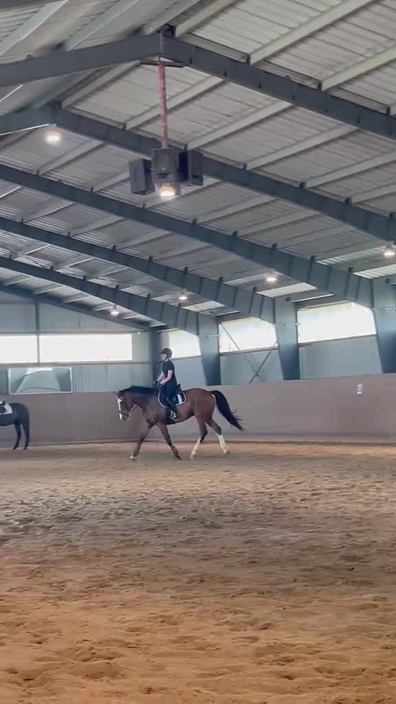 Allround hästar till salu: Underbar 7årig valack säljes ♥️ i Säve - Video 3