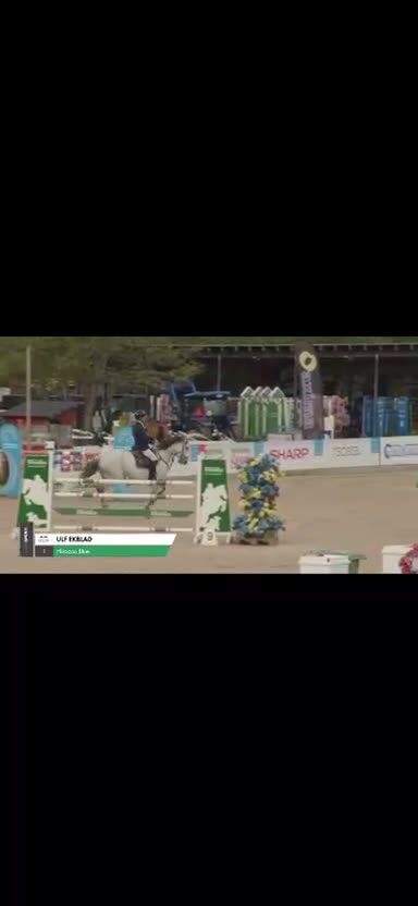 Hoppning hästar till salu: 2 fina kvalitetshästar i Söderköping - Video 4