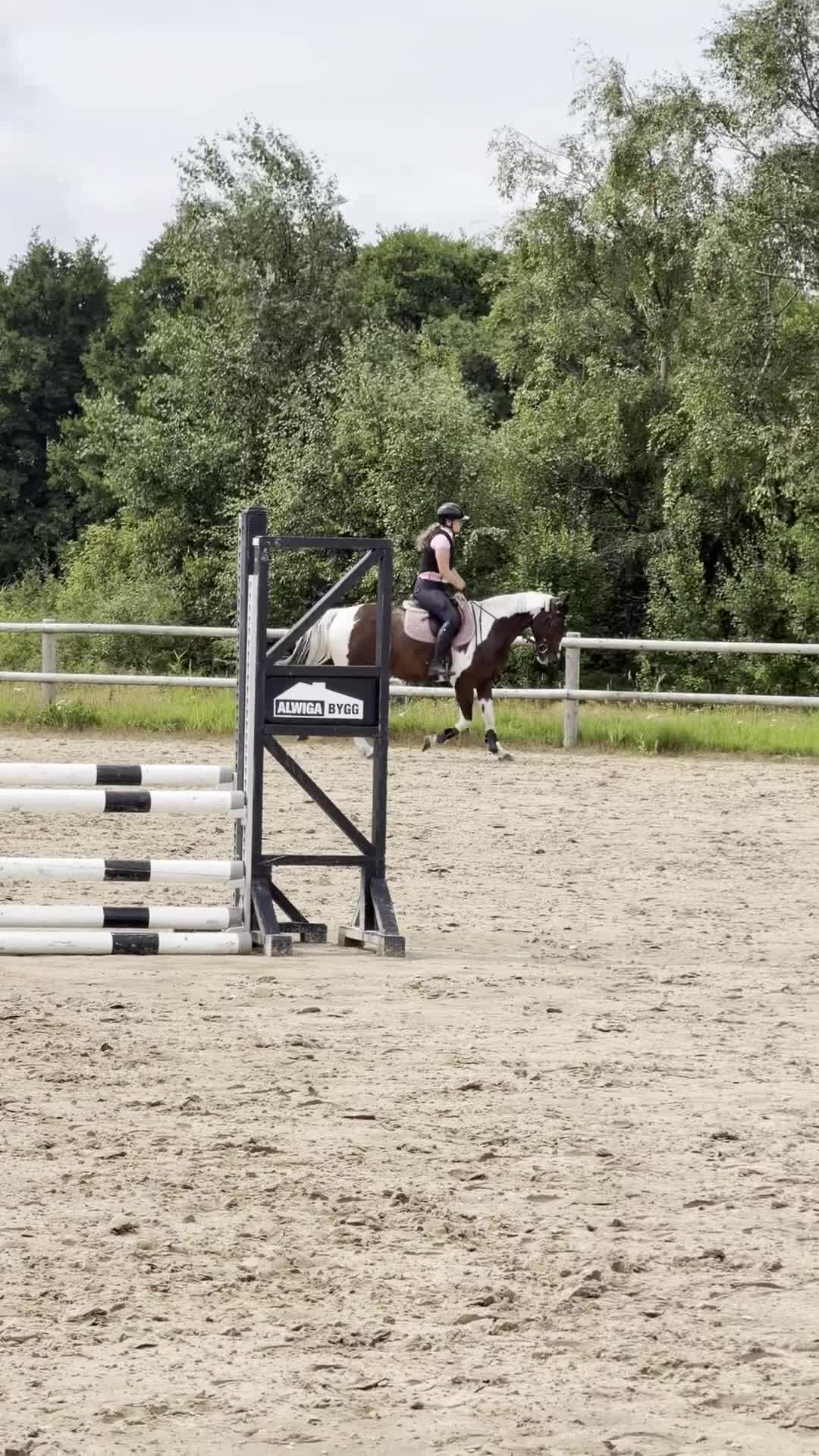 Allround hästar till salu: Charmig valack❤️ - Video 1