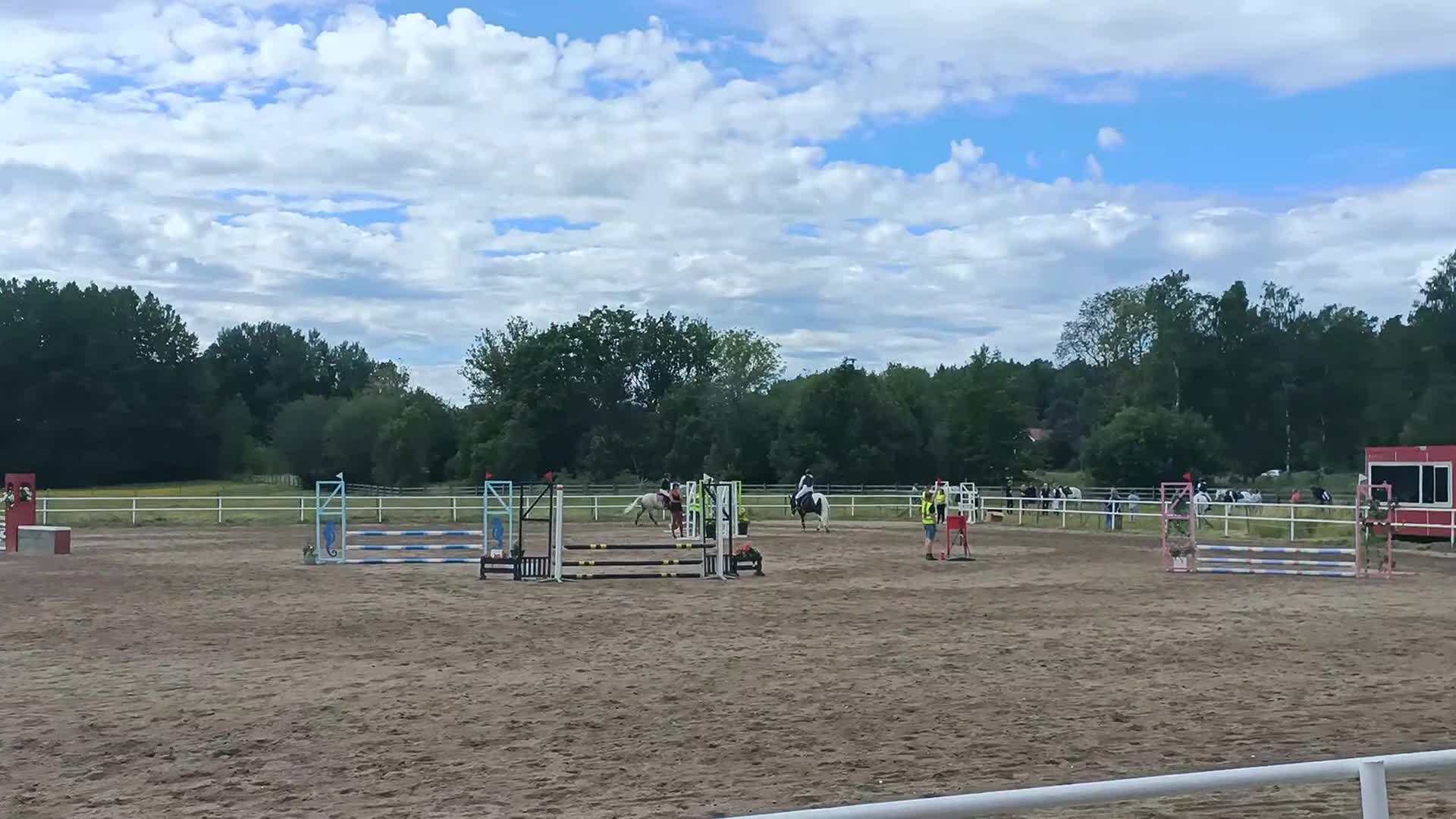 Allround hästar till salu: Pigg allroundponny  - Video 3