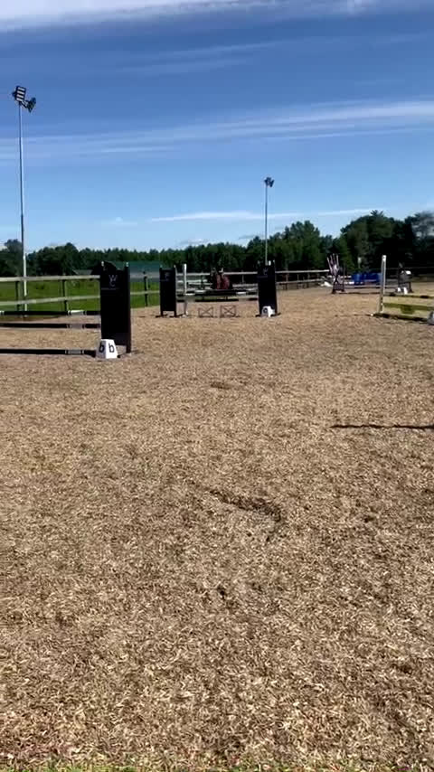 Allround hästar till salu: Rolig C-ponny  i Tibro - Video 2