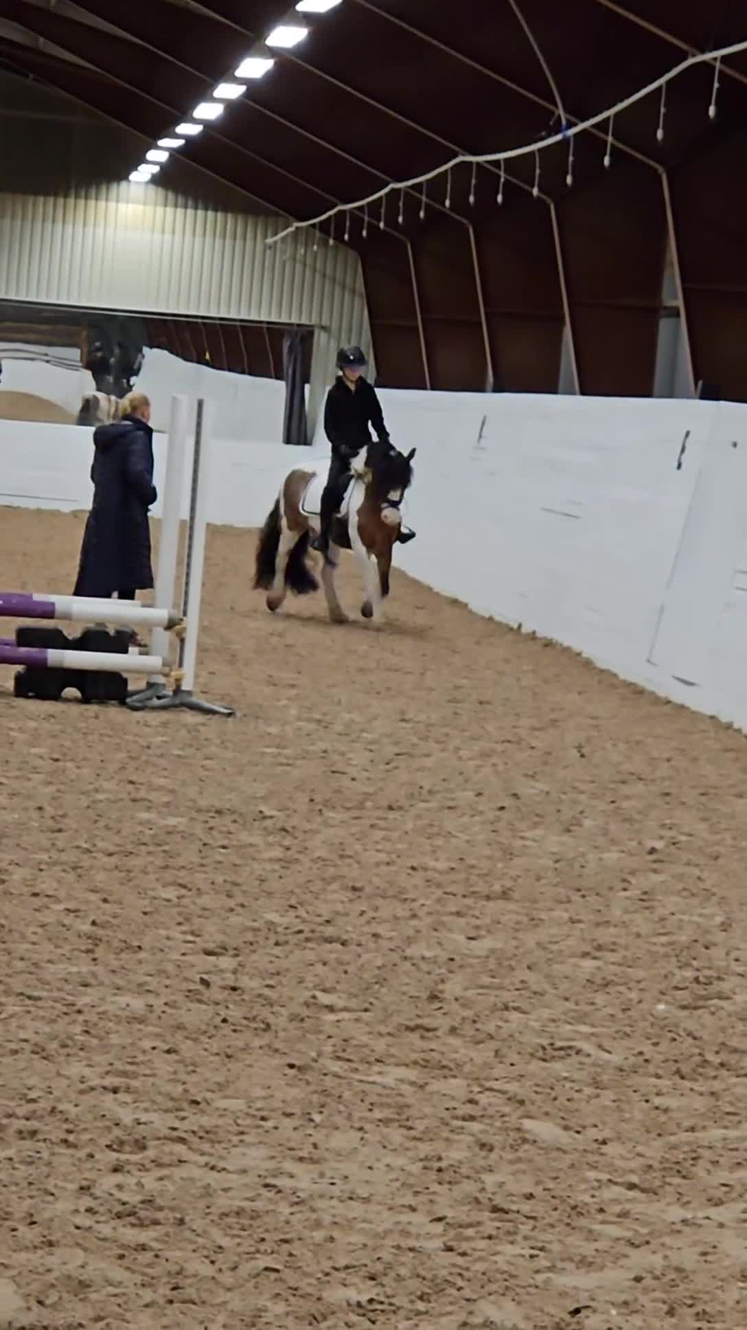 Allround hästar sökes: Medryttarhäst sökes  i Östra Ryd - Video 1
