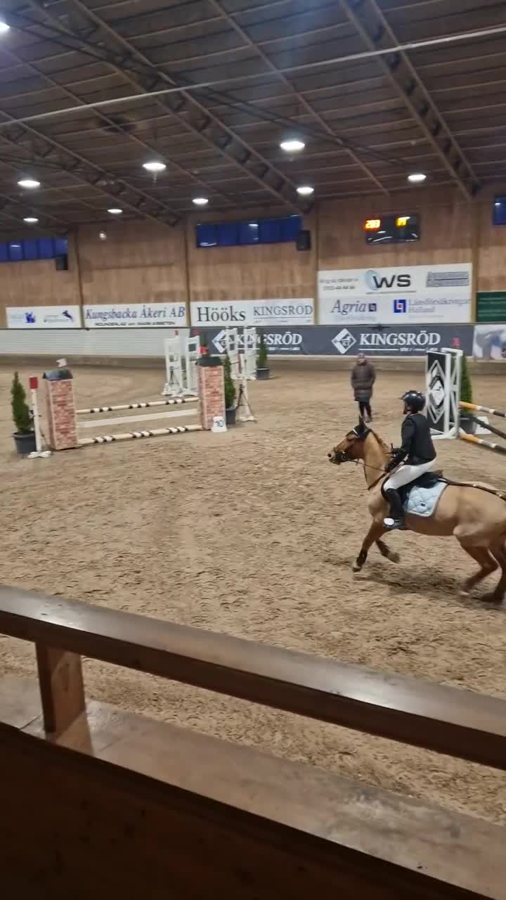 Allround hästar till salu: Snäll och härlig ponny - Video 1