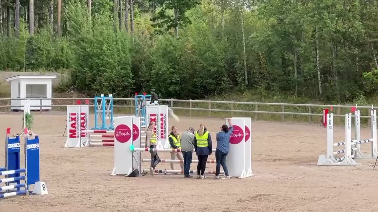 Hoppning hästar till salu: Säljes förmånligt pga ryttarbrist - Video 5