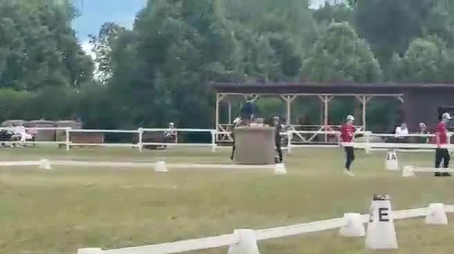 Hoppning hästar till salu: showjumping-dressur schoolmaster - Video 2