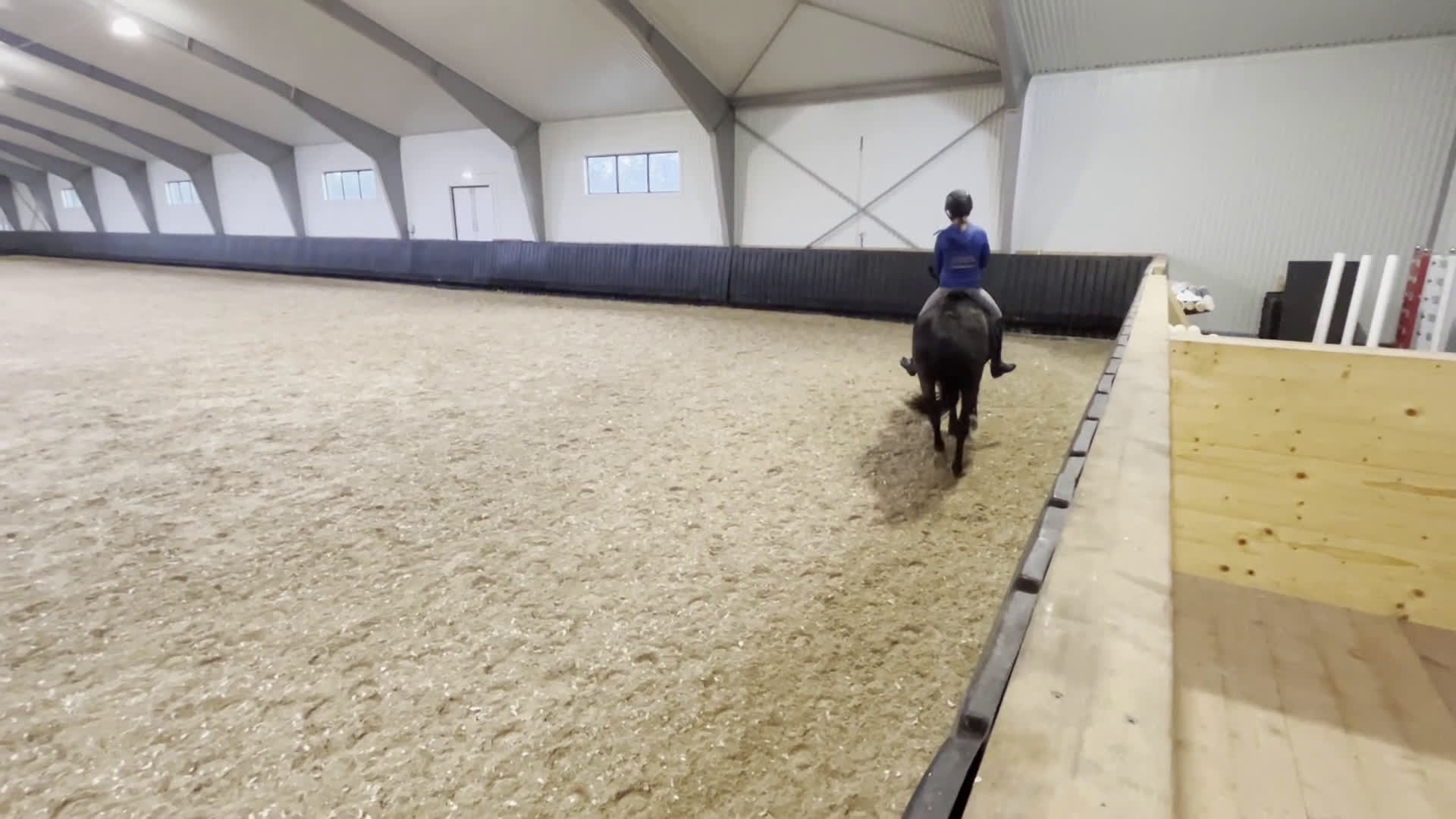 Allround hästar till salu: Bästa vän / Läromästare i Grödinge - Video 2