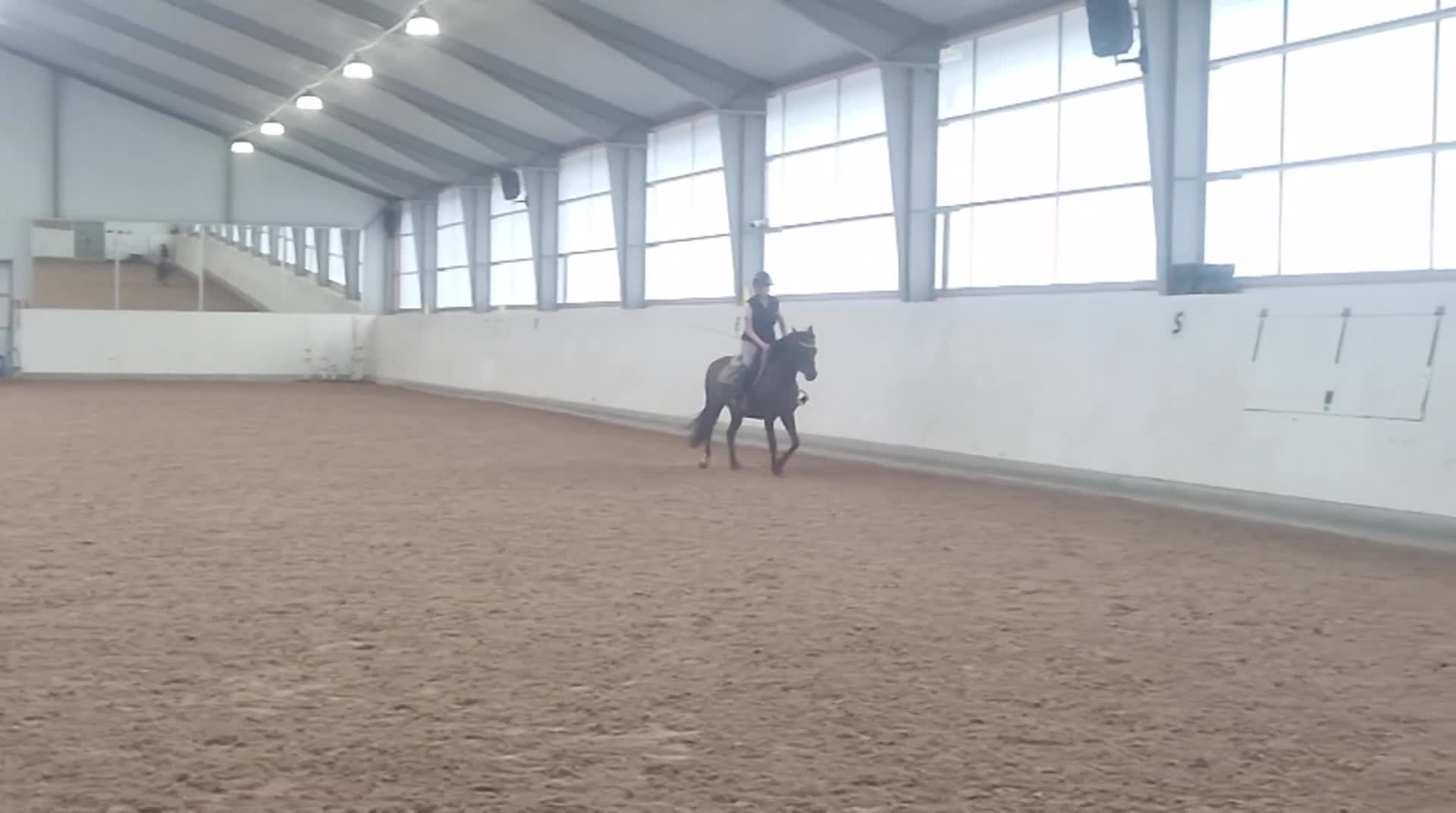 Allround hästar till salu: Ljuvlig ponny - Video 1