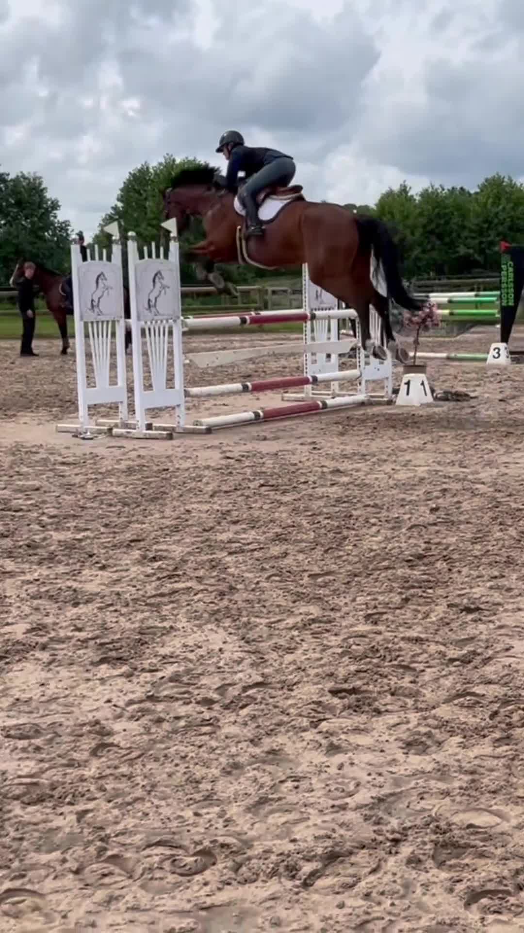 Hoppning hästar till salu: Storhoppande, modig valack e. Ike i Falköping - Video 2