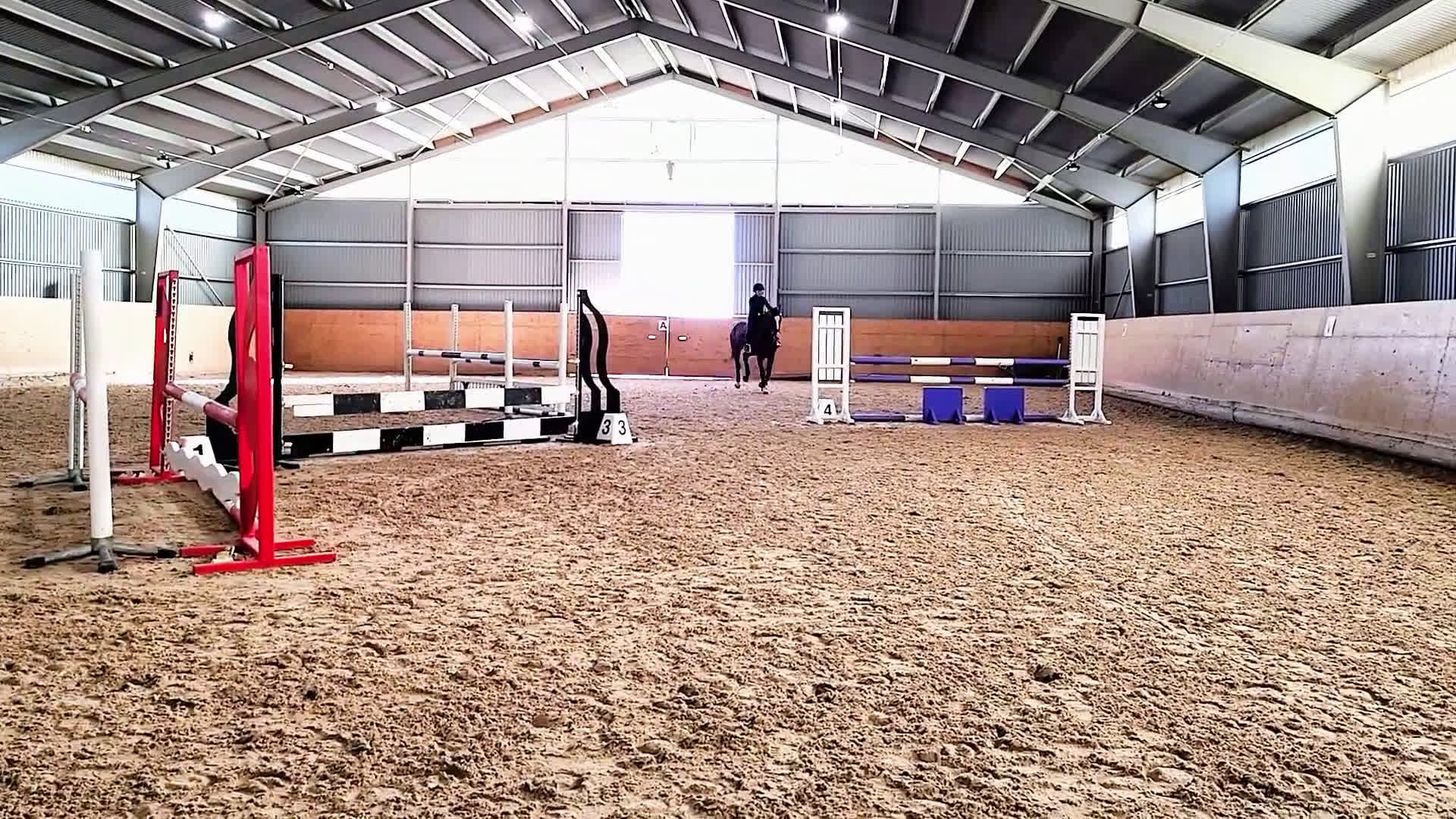 Hoppning hästar till salu: 5-årigt sto med enorm personlighet och potential  - Video 3