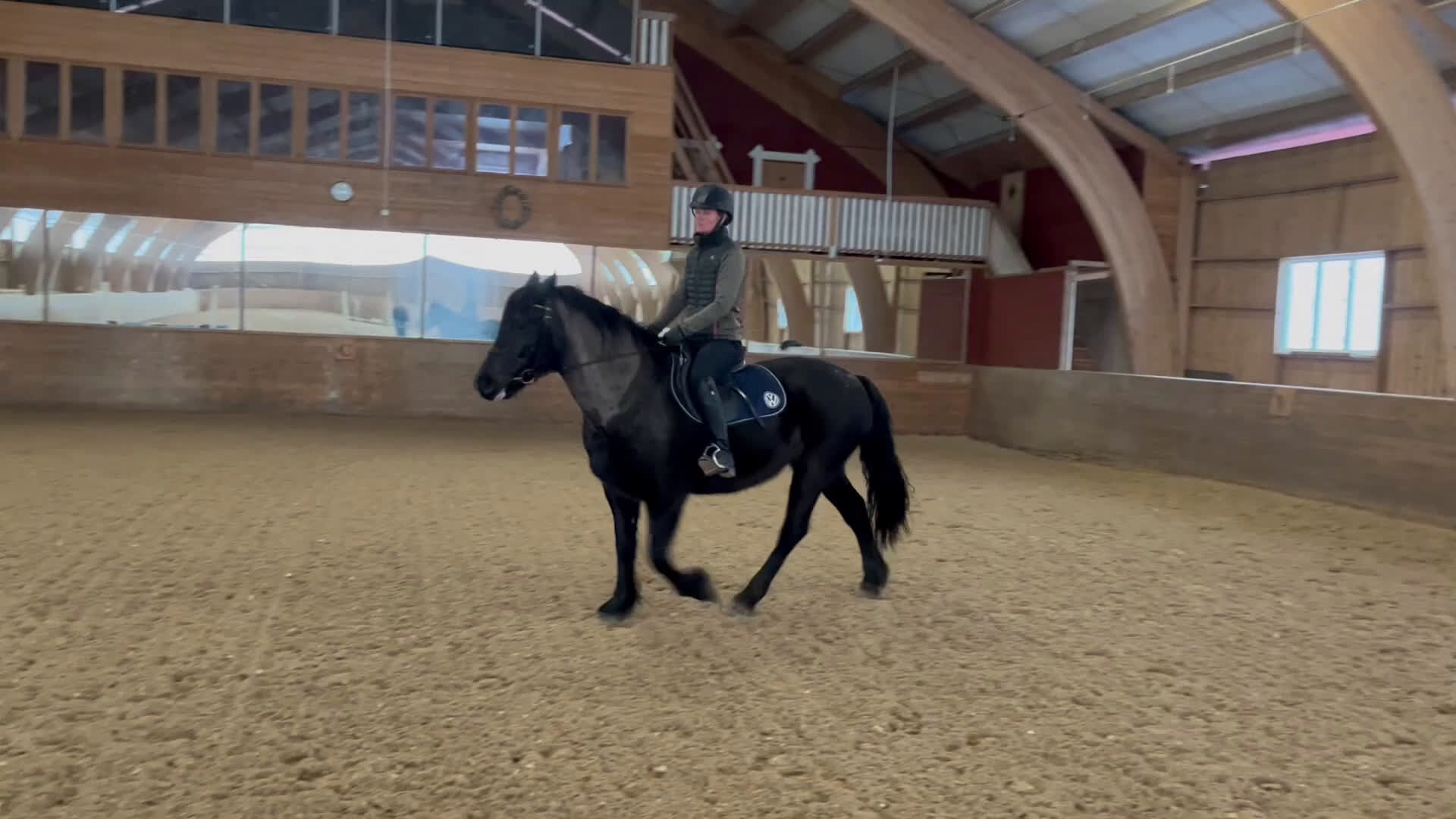 Allround hästar till salu: Modigt kallblodssto i Värmdö - Video 3