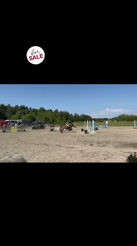Hoppning hästar till salu: Fräck tävlingsponny! i Vedum - Video 1