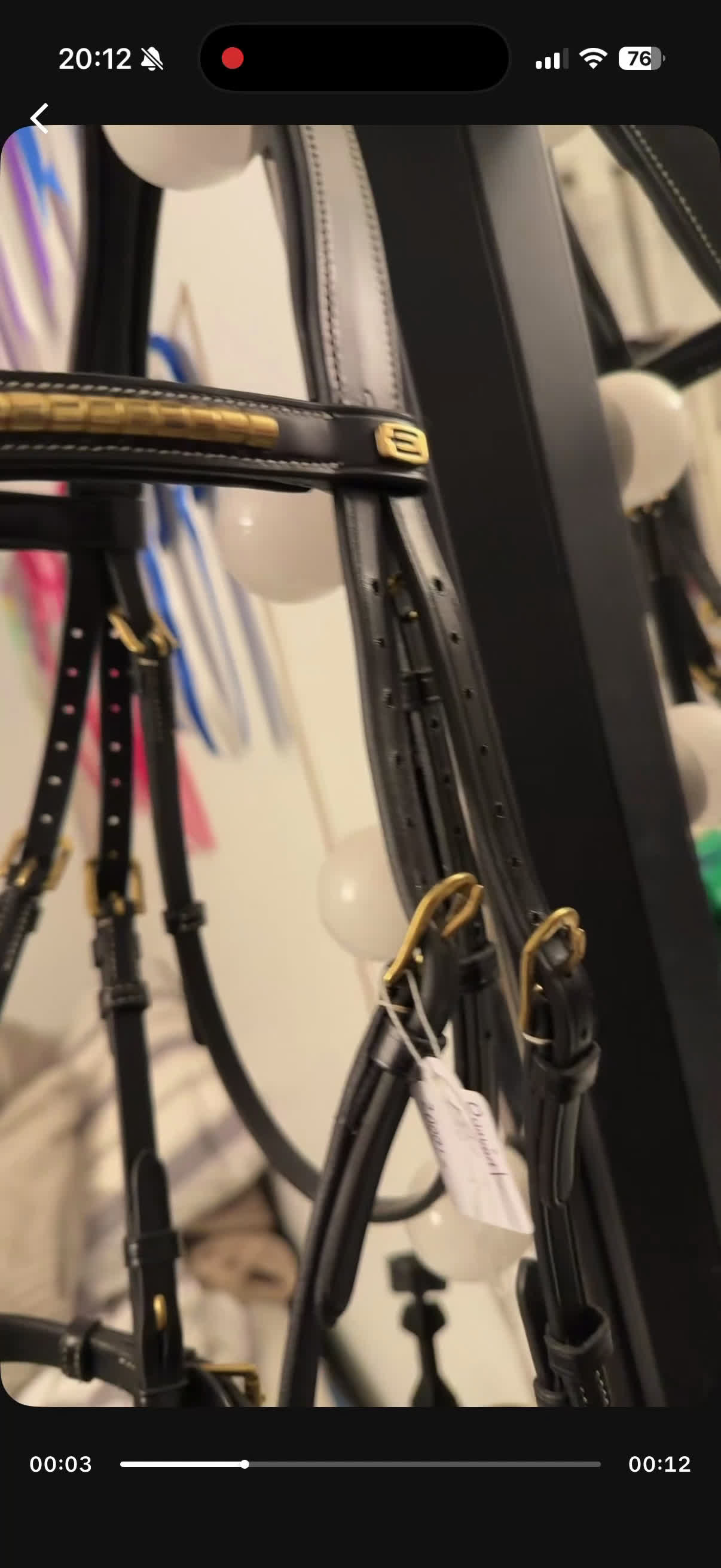 Träns hästutrustning till salu: Thamar träns FYND i Västerås - Video 1