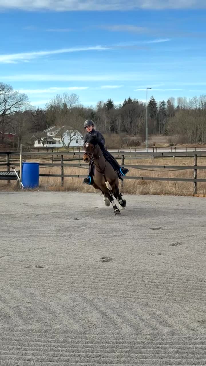 Hoppning hästar till salu: Power pony vurderes solgt - Video 2
