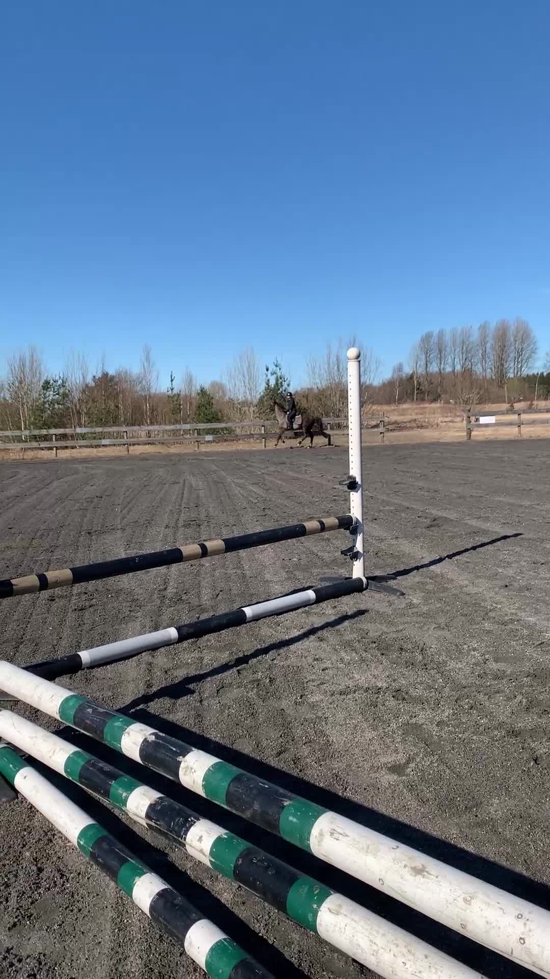 Allround hästar till salu: Fin D-ponny söker nytt hem i Götene - Video 2