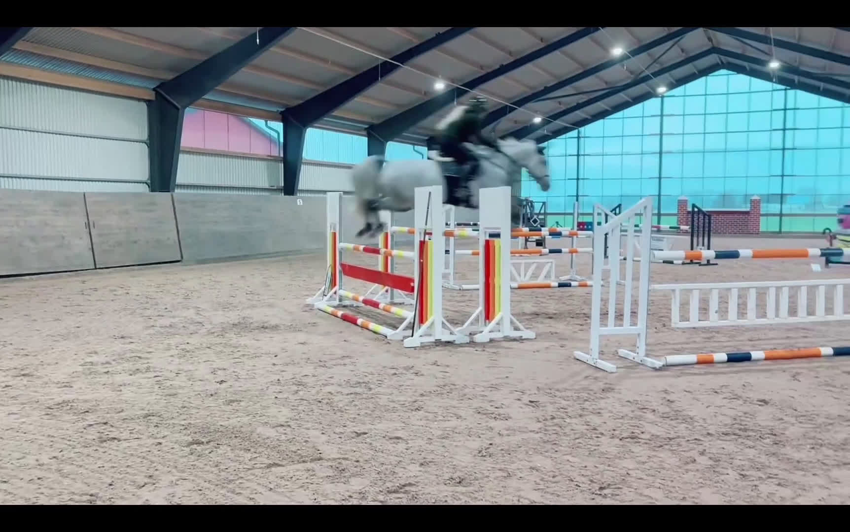 Hoppning hästar till salu: Vänlig tävlingshäst.  i Linköping - Video 2