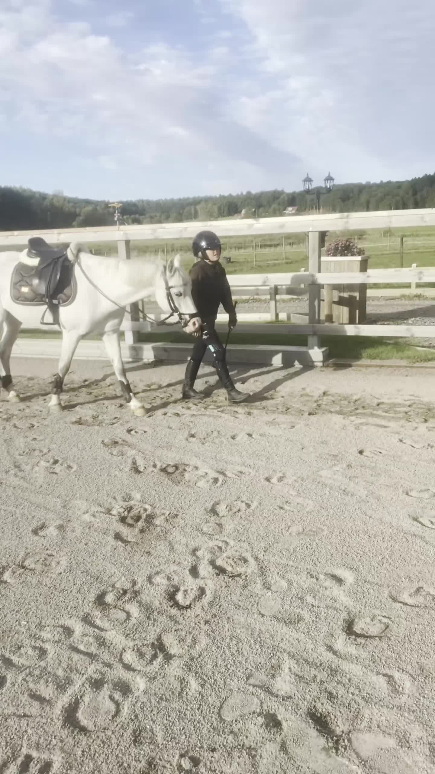 Allround hästar till salu: Maxad B ponny redo för en ny liten pilot  - Video 1