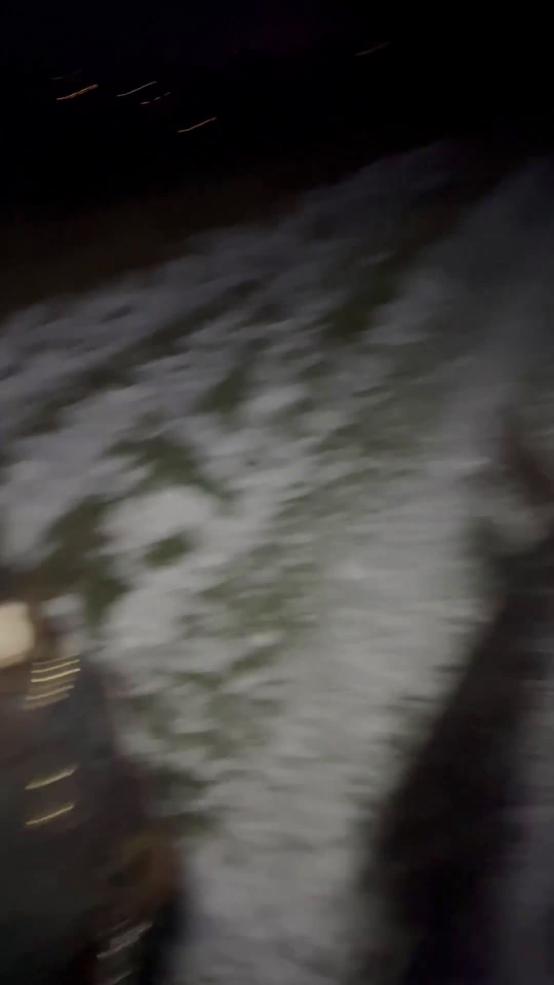 Allround hästar till salu: Världens snällaste tjej  i Blentarp - Video 3