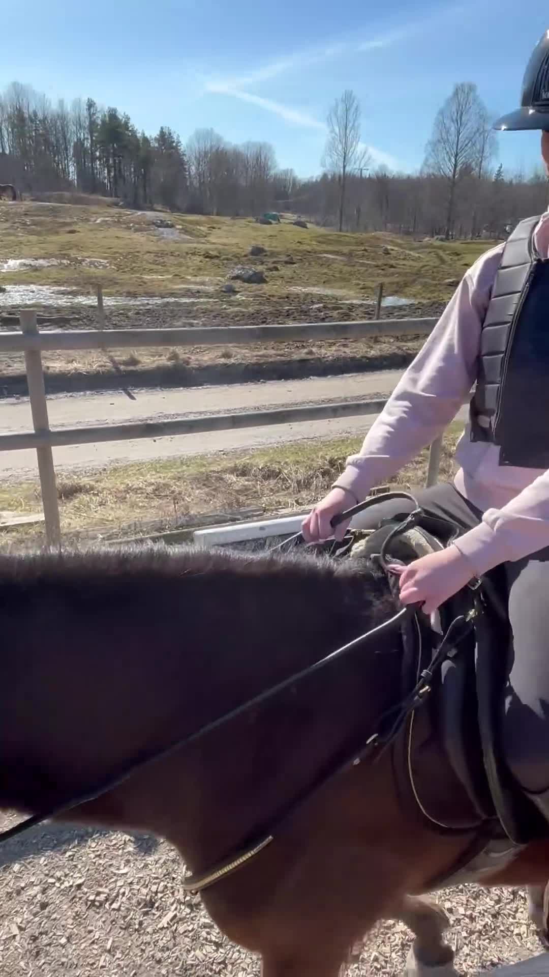 Allround hästar till salu: Fin ungponny  - Video 2
