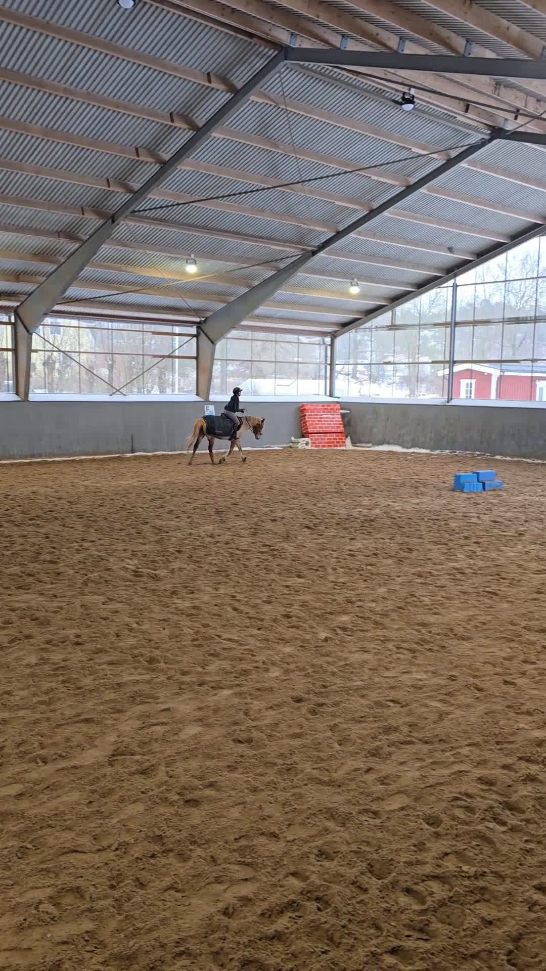 Allround hästar till salu: Fin och pålitlig allroundponny – läromästare i Kungälv - Video 4