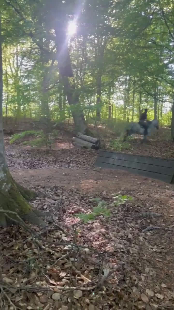 Allround hästar till salu: Vackert sto med framtiden framför sig! i Boxholm - Video 2